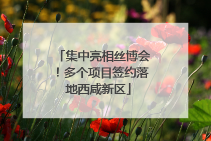 集中亮相丝博会！多个项目签约落地西咸新区